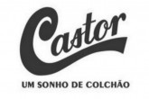 Castor