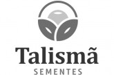 Talismã